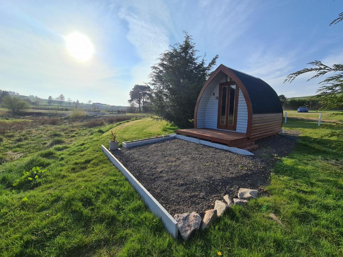 Hotel Delightful Camping Pod In Snowdonia, North Wales. Derwen Exterior foto